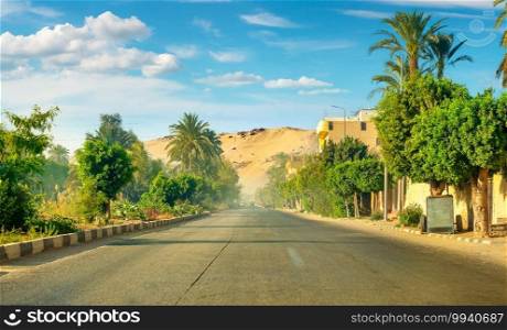 Road along the canal of the Nile River. Road to Aswan