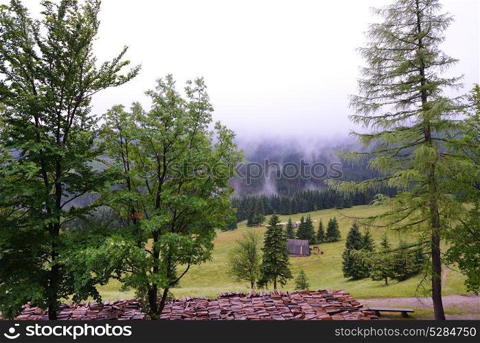 Road among wooded mountains. Mountain landscape