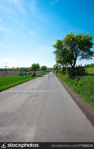 road and a meadow with trees against the blue sky