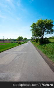 road and a meadow with trees against the blue sky