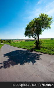 road and a meadow with trees against the blue sky