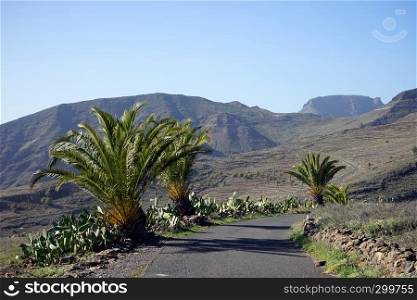 Road and asphalt road on the La Gomera island, Spain