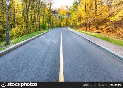 Road and autumn landscape with forest in park