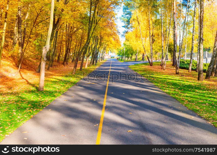 Road and autumn landscape with forest in park