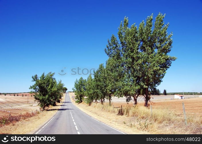 road at south of Portugal, alentejo region.