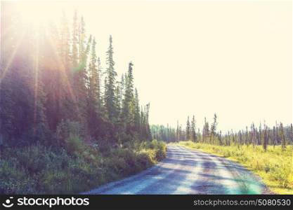 Road at sunny day in Alaska mountains