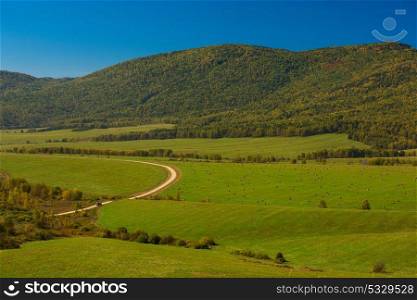 Road at the Altay mountains. Road at the Altay mountains, beauty summer day