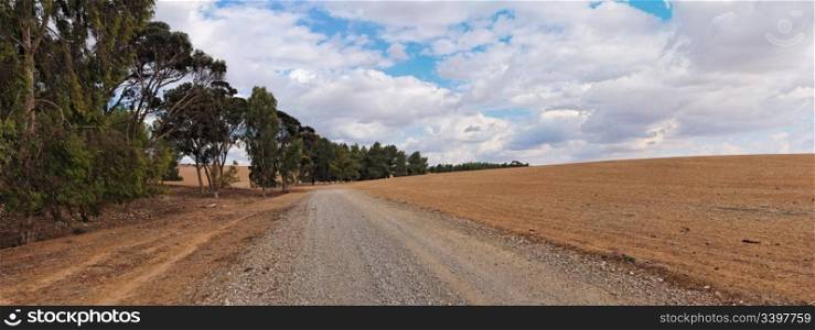 Road at the edge of plowed field and eucalyptus grove