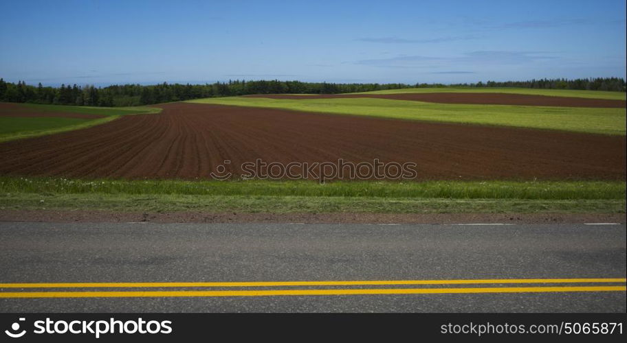 Road by ploughed field, Breadalbane, Prince Edward Island, Canada