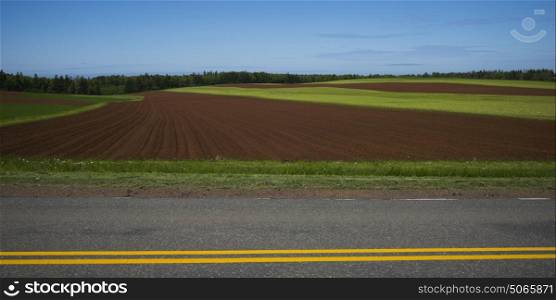 Road by ploughed field, Breadalbane, Prince Edward Island, Canada