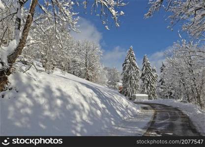 road crossing alpine forest covered with snow in european mountain