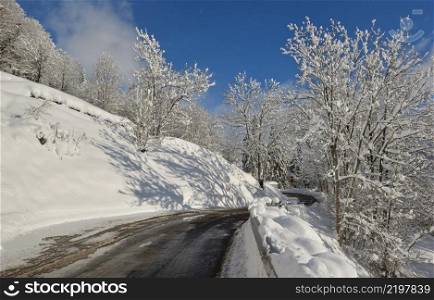 road crossing alpine forest covered with snow in european mountain 