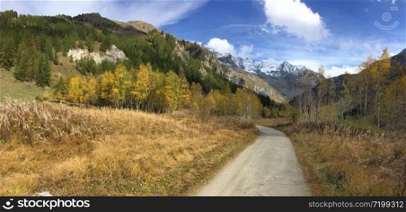 road crossing autumnal landscape in mountain in panoramic view