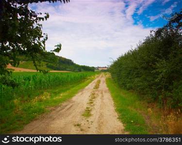 Road cutting through the fields, trees on the sides