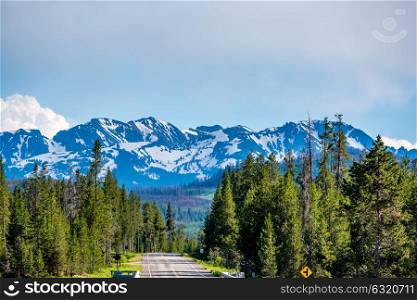 Road from Yellowstone National Park to Grand Teton National Park, Wyoming, USA