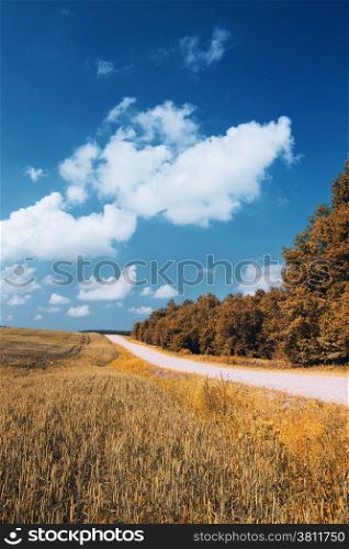 road goes through a wheat field along the forest