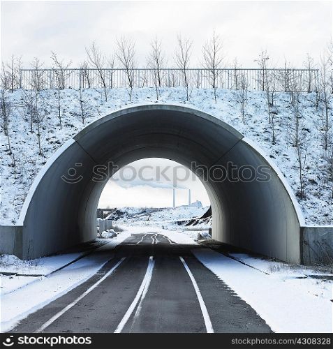 Road going through tunnel