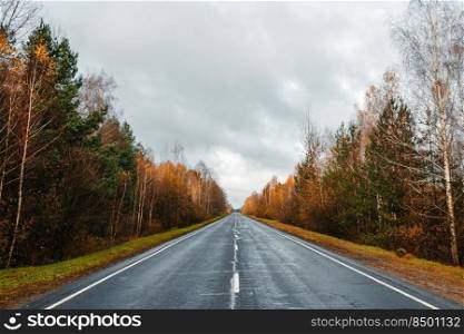 road, highway in autumn forest larch pine, landscape day. road, highway in autumn forest, larch, pine, landscape, day