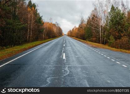 road, highway in autumn forest larch pine, landscape day. road, highway in autumn forest, larch, pine, landscape, day