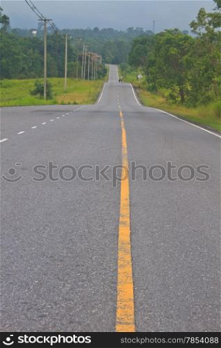 Road in a green forest, national park