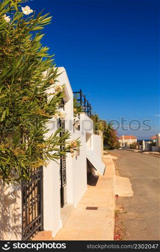 Road in a small Greek city. Street decorated with trees from nearby house backyard gardens.. Road in a small Greek city