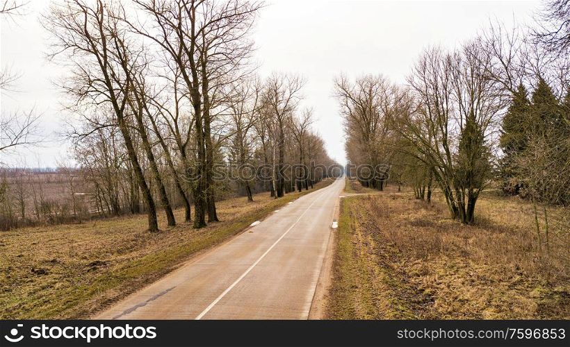 Road in alley of dry trees without leaves in winter / early spring. Tree tunnel without leaves, local concrete road aerial view. Minsk region, Belarus
