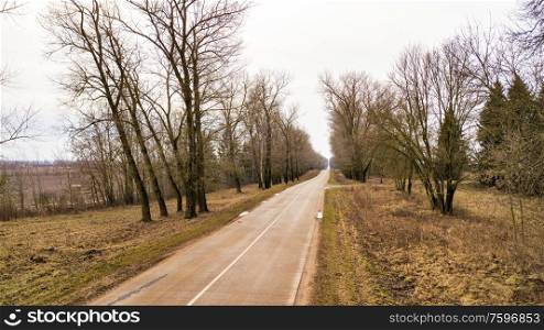 Road in alley of dry trees without leaves in winter / early spring. Tree tunnel without leaves, local concrete road aerial view. Minsk region, Belarus
