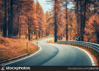 Road in autumn forest at sunset. Beautiful winding mountain road, trees with red foliage and orange sunlight. Landscape with empty asphalt roadway through woodland in fall. Transportation. Seasonal