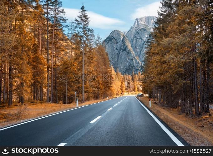 Road in autumn forest at sunset in Italy. Beautiful mountain roadway, trees with orange foliage and sunlight. Landscape with empty asphalt road through woodland, blue sky, high rocks in fall. Travel