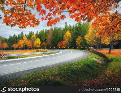 Road in autumn forest. Beautiful empty mountain roadway, trees with red and orange foliage. Colorful landscape with asphalt road through the woods in fall. Travel in europe. Road trip. Transportation