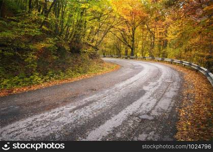 Road in autumn wood. Nature composition.