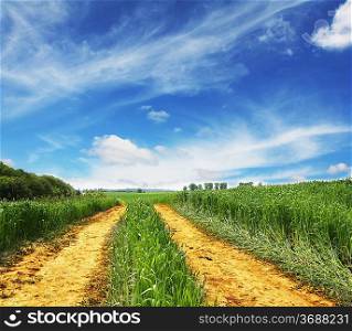 Road in field