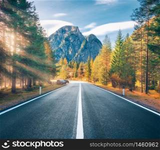 Road in green forest at sunset in summer in Italy. Beautiful mountain roadway, trees with colorful foliage, gold sunbeam. Landscape with empty asphalt road, woods, blue sky, rocks in spring. Travel