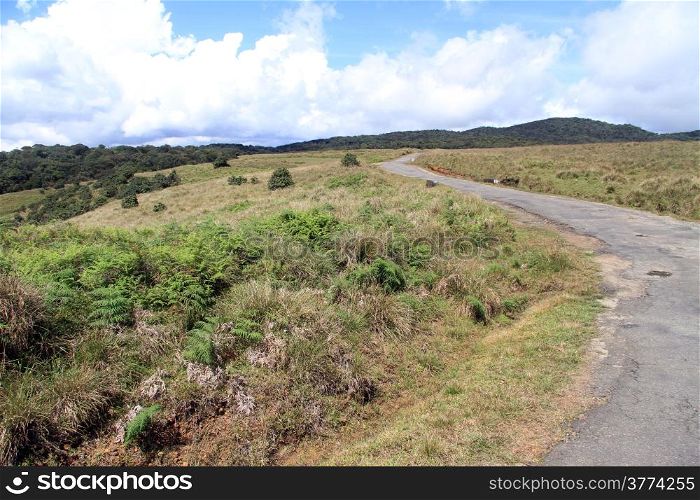 Road in Horton plains national park, Sri Lanka