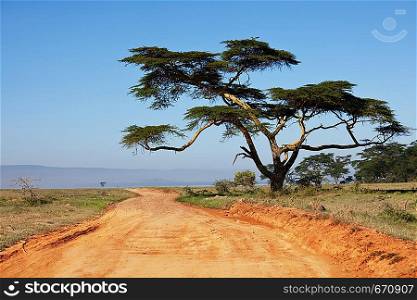 road in Kenya