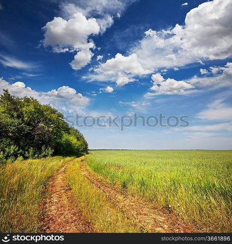 Road in meadows