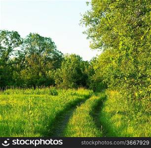 Road in meadows