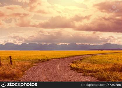 Road in meadows