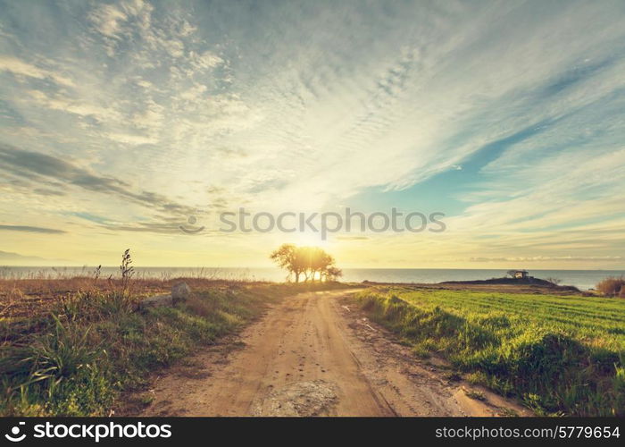 Road in meadows