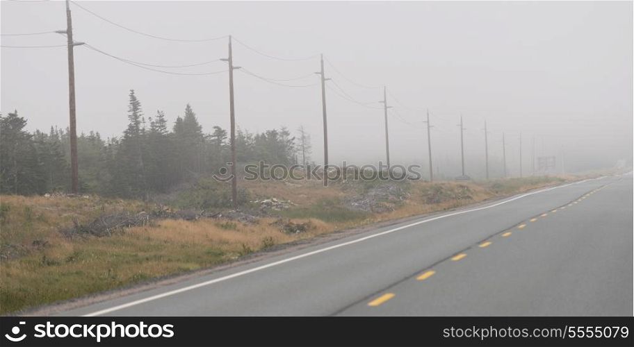 Road in mist, Newfoundland And Labrador, Canada