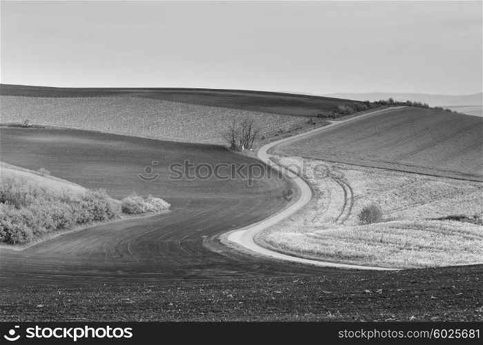 Road in Moravia hills in April