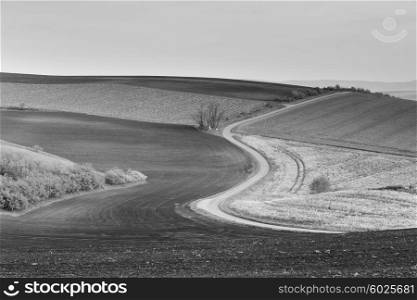 Road in Moravia hills in April