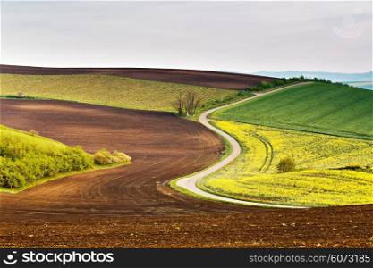Road in Moravia hills in April. Spring fields and meadows