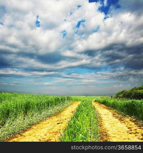 Road in mountains meadow