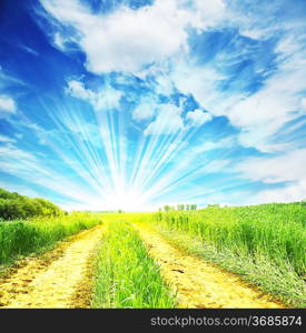 Road in mountains meadow