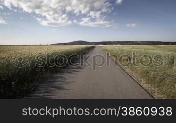 Road in nature with blue sky, clouds and plants