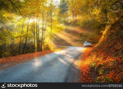 Road in orange forest in fog and sunbeams at sunrise in golden autumn. Dolomites, Italy. Beautiful mountain roadway, tress, sun rays, red and yellow leaves. Empty road through the woods in fall 