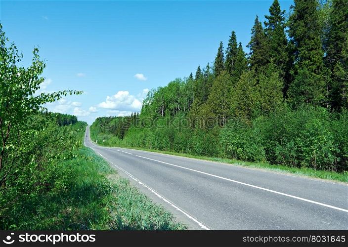 road in Russian forest. Arhangelsk region