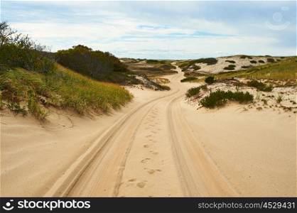 Road in sand dunes at Cape Cod, Massachusetts, USA.