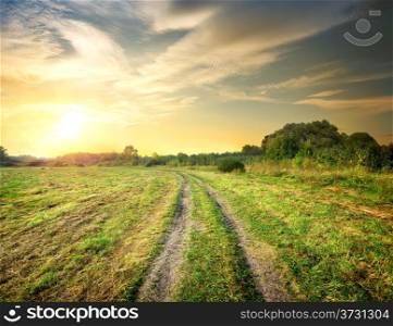 Road in the autumn field at sunset